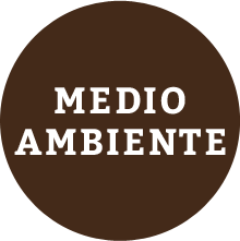 medio ambiente